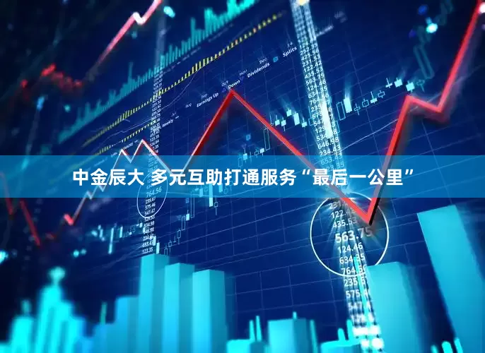 中金辰大 多元互助打通服务“最后一公里”