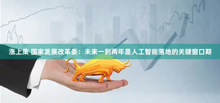 涨上策 国家发展改革委：未来一到两年是人工智能落地的关键窗口期