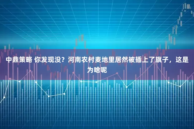 中鼎策略 你发现没？河南农村麦地里居然被插上了旗子，这是为啥呢